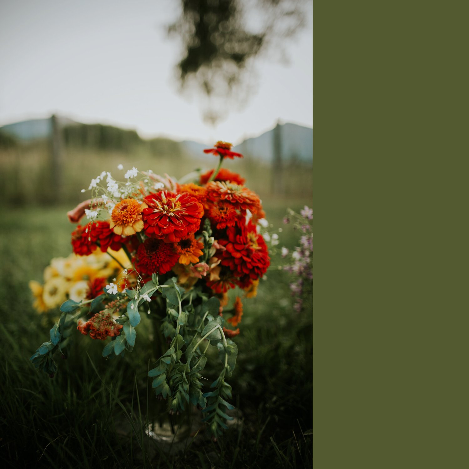 Flowers at FarmWild