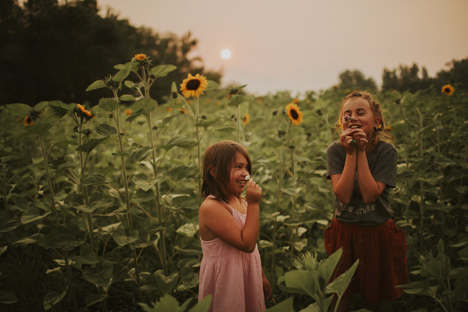 Two girls smelling flowers in a sunflower field at sunset